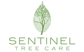 Sentinel Tree Care Logo